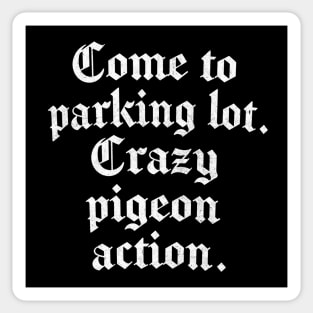 Come to parking lot. Crazy pigeon action. Sticker